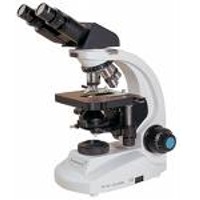 Binocular microscope